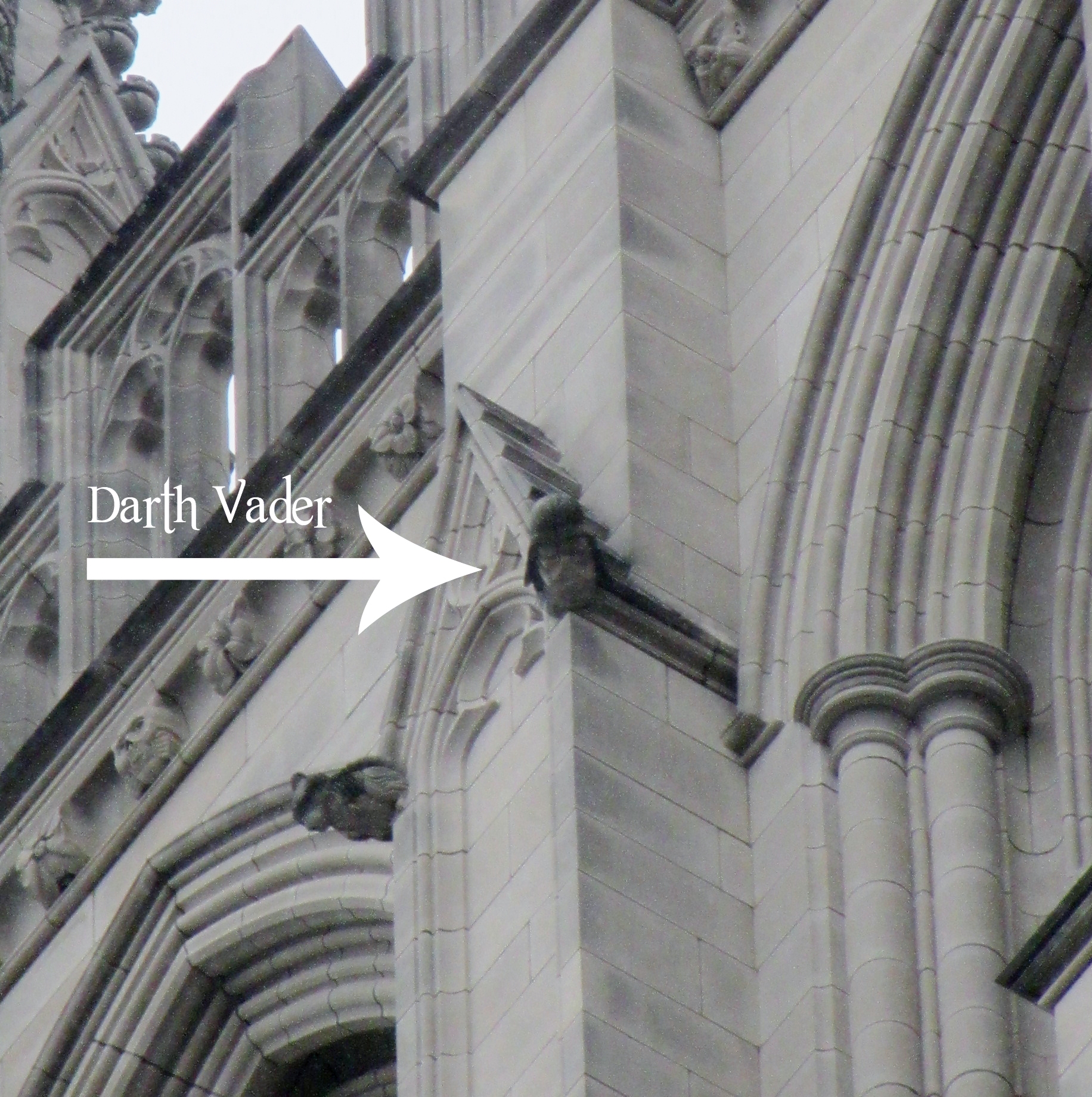 Making Field Trips More Fun: Gargoyles and Grotesques 